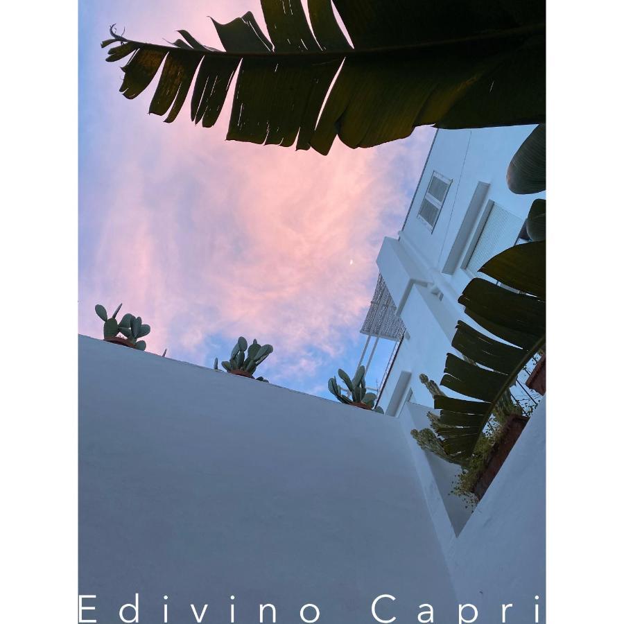 Edivino Design Alojamento de Acomodação e Pequeno-almoço Capri