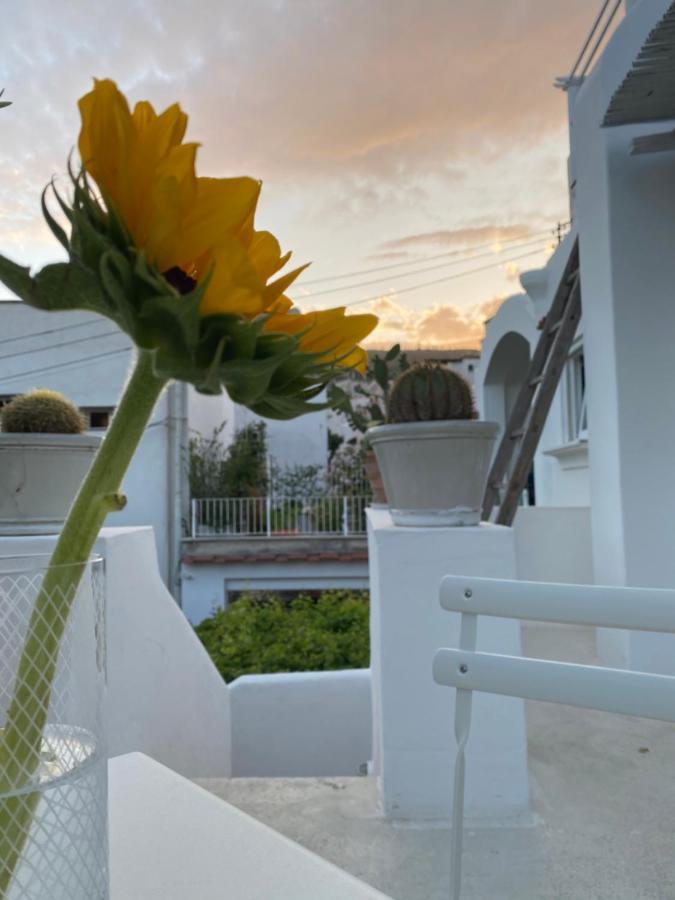Edivino Design * Capri